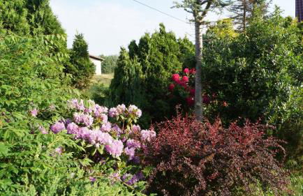 Ferienwohnung Zaepernick Erdgeschoss - Foto 9