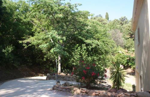 costa di sognu - Foto 25