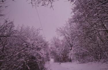 Agriturismo Malvista - Foto 67