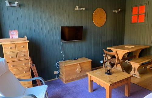 Studio Isola 2000 centre station front de neige - Photo 2