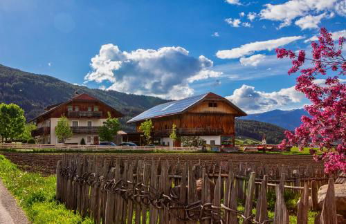 Liebharterhof - Foto 2