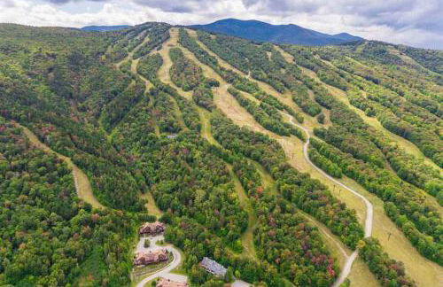 V3 Gorgeous SKI-IN Mountain View Townhouse with great views in Bretton Woods Fast wifi - Foto 20