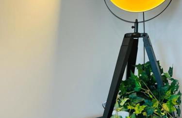 En mode cinéma! Hyper centre ville avec terrasse - Foto 16