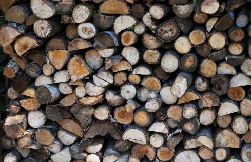 Domki pod jabłonką - Foto 5