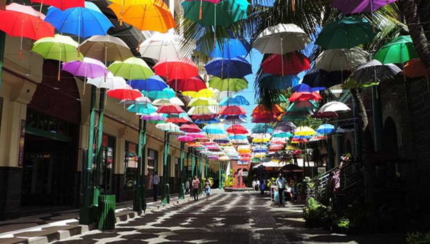 Port Louis, A Capital e o Jardim de Pamplemousses com Almoço - Foto 2