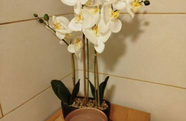 Ferienwohnung Zur goldenen Glocke - Photo 7