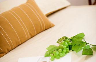 Qualys Vignoble parking, square view, close to city - Foto 19