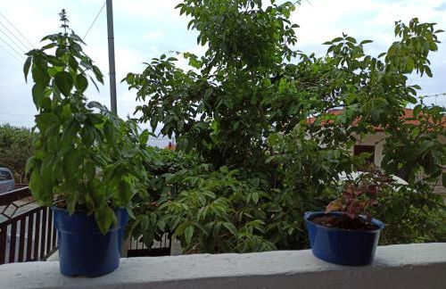 Doras House in village Άνετο Διαμέρισμα υπέροχη θέα - Foto 34