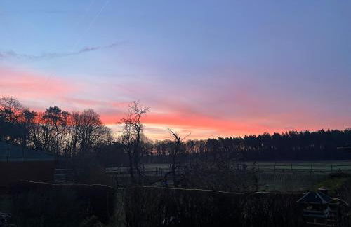 Wunderschöne Ferienwohnung mit Balkon auf dem Bauernhof - Foto 42