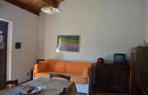 Il Vigneto - Foto 24