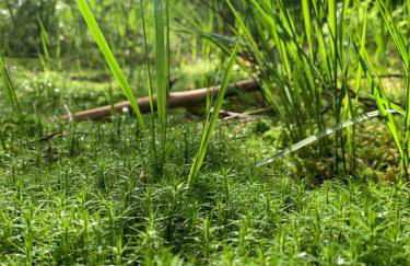 Haus Anna EG - Foto 10