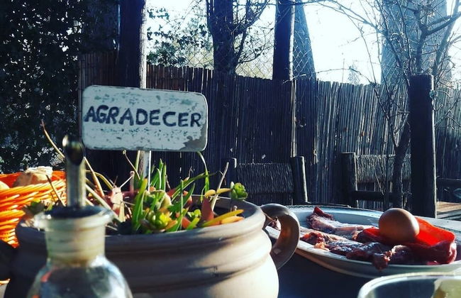 Dark Green House - Chacras de Coria - Foto 55