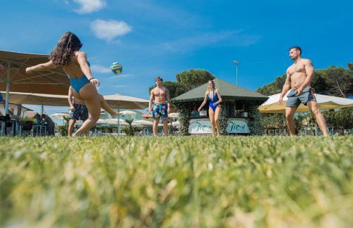 Fiori di Cardo - Agrimare - Foto 16