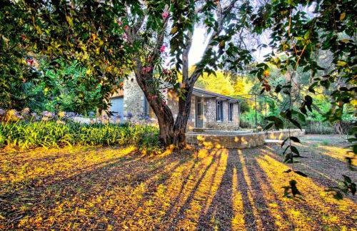 Black Olive Cottage Paramonas - Foto 28