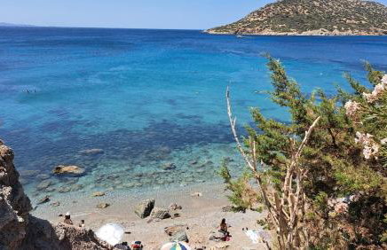 Anemelia & Helios Studio - Foto 54