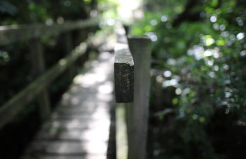 Sea the Stars - Photo 23