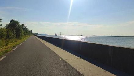 Domaine des Cerisiers - Accès direct piste cyclable reliant Honfleur - Parking privé - Grand jardin - Foto 5