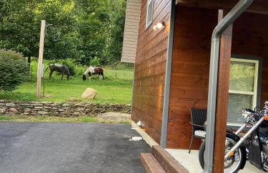 Dragon's Nest Cabin with Mountain Views - Foto 38