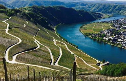 Ferienwohnung Moselnest - Foto 12