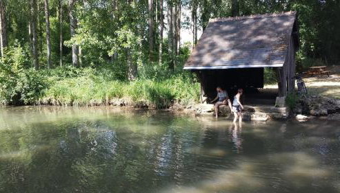 Traditional Countryside House Chateaux de la Loire - Foto 5