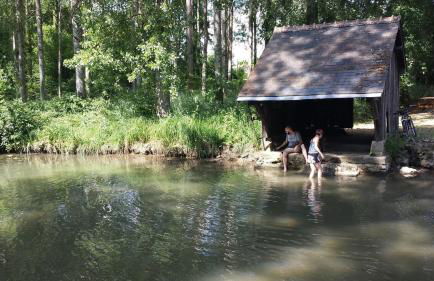 Traditional Countryside House Chateaux de la Loire - Foto 5