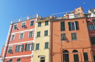 Pepita di Rio - Foto 29