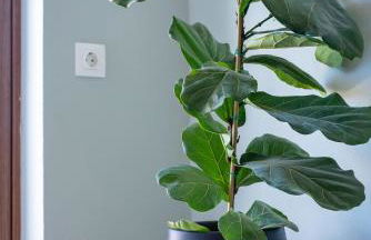 Serenity Hideaway - Photo 46