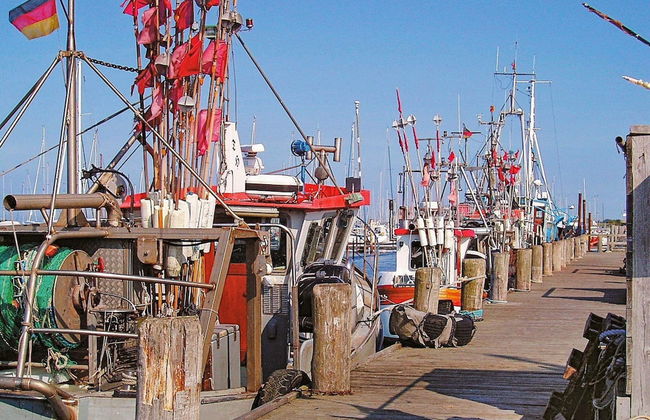 6 Personen Ferienhaus in Wendtorf - Foto 24