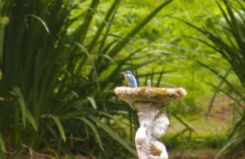 Kingfisher Lodge, South View Lodges, Exeter - Foto 15