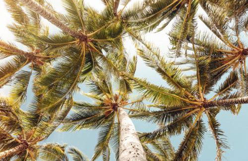 Banyan Harbor Resort - Foto 61