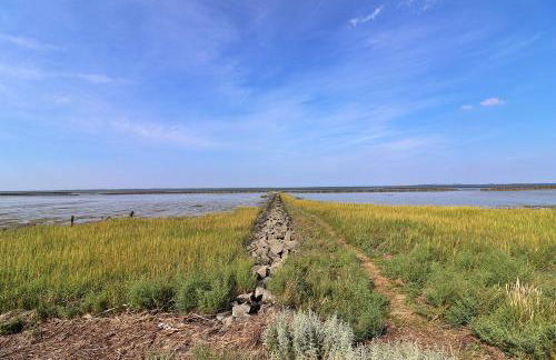 Ferienwohnungen "Zur Friesen Freude" - nur für Feriengäste - Foto 24