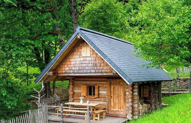 Infanglalm "attersee" - Foto 30