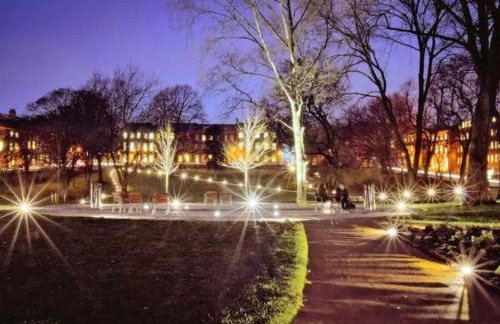 Large 2 Bedroom City Centre Apartment + Parking - Photo 16