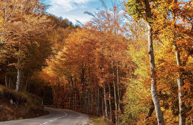 Charming Farmhouse in Cros-de-georand With Swimming Pool - Photo 50