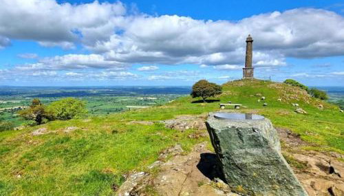 Honey Bee Cottage Tiny House Welshpool - Photo 3