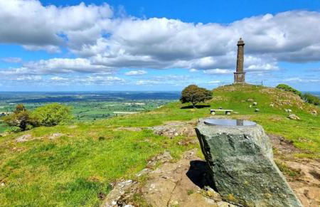 Honey Bee Cottage Tiny House Welshpool - Photo 3