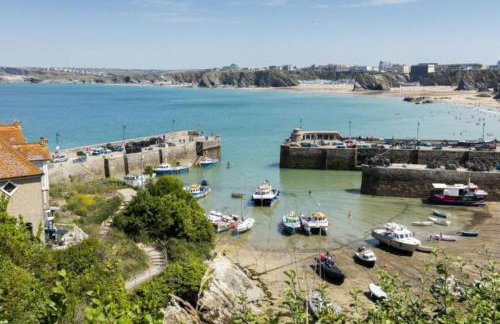Lodges in Lanivet Cornwall with indoor pool - Foto 41