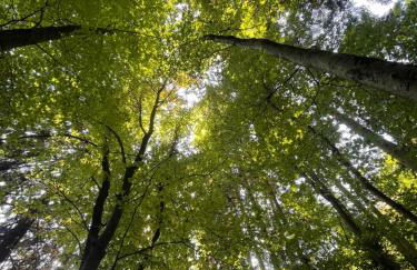 Cozy tiny house - Foto 28