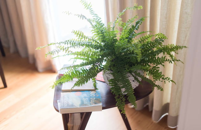 Apartamentos Santa Maria - Foto 2