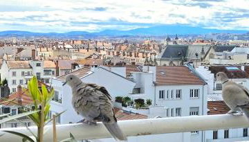PLEIN SUD Terrasse Garage Netflix Climatisation - Photo 3
