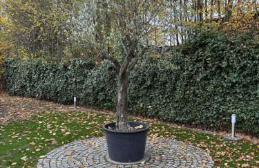 City Hideaway Braunschweig - Foto 29