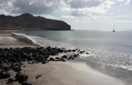 Paris Lovely - Photo 58