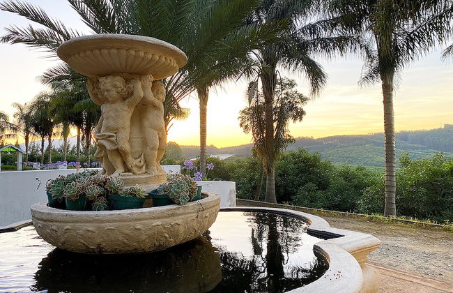 Sherwood's Country House - Foto 59