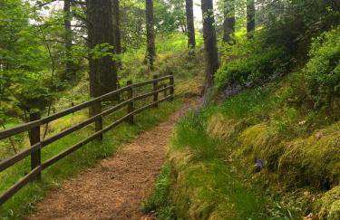 Mullarts Church -The Glenann Apartment - Foto 31