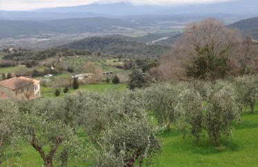 Rosa di Maggio - Foto 36