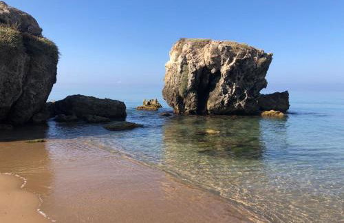 Timone d’oro - Foto 34