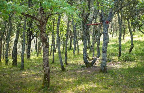 Le Mas de Cocody - Foto 37