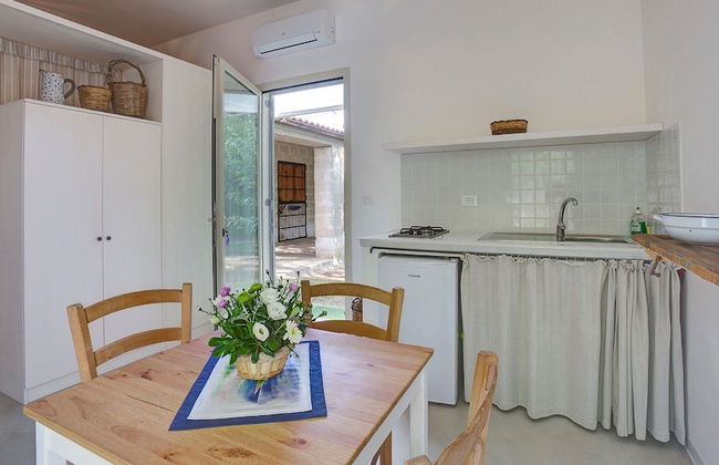 Tenuta Sant'Andrea - Foto 10