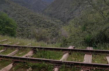 Cozy Mountain Cabin Yosemite Dodge Ridge Ski - Foto 40