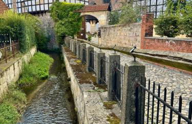 Ferienwohnungen an der Blasiikirche - Foto 75